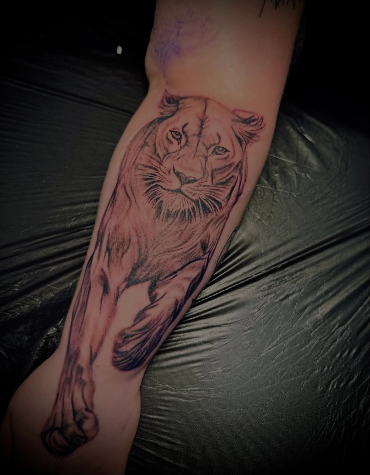 SC Tattoo Work